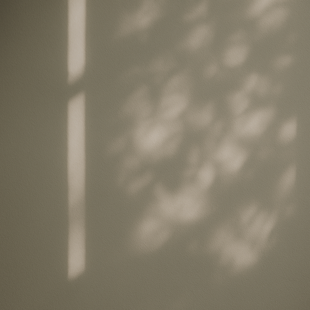 窓から差し込む光とやわらかな影の写真